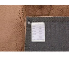 OliandOla New Designer Durable Floor Area Carpet Komal Buff Tone Rug
