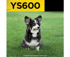 Dogtra YS600 Non-electrical Anti Bark Collar For Medium Large Dogs