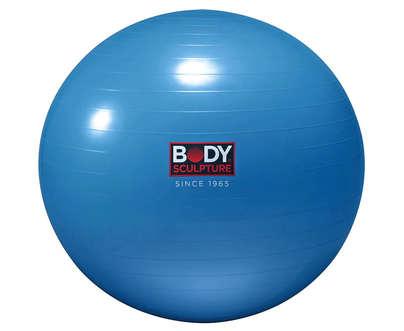 Body Sculpture Gym 65cm Ball Anti-Burst Fitness Training/Workout Sports Exercise