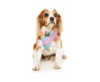Fuzzyard Dog Harness Premium Quality Easy Clip Comfortable Footloose 5 Sizes
