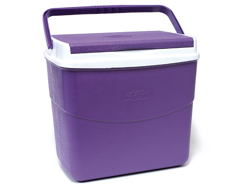 KeepCold 20L Picnic Ice Box / Cooler - Purple | Catch.co.nz