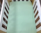 Little Turtle Baby Large Bassinet Fitted Sheet - Mint