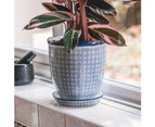 Nicola Spring Hand Printed Plant Pot - Ceramic Porcelain Indoor Outdoor Flower Display with Drip Tray - 20cm - Navy