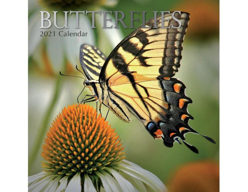Butterflies - 2021 Square Wall Calendar 16 month by Gifted Stationery (0)