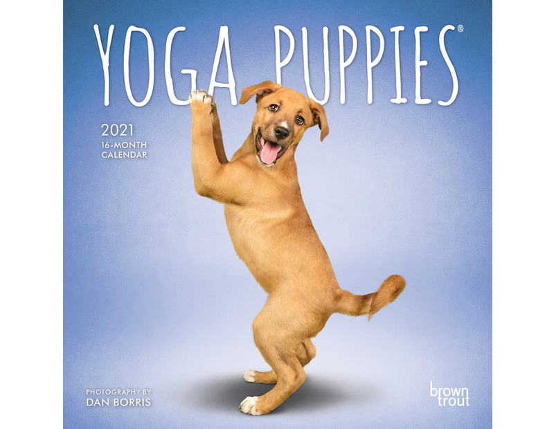 Yoga Puppies - 2021 Mini Wall Calendar