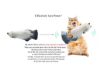 Electric Fish Cat Toy Wagging Fish Realistic Plush Simulation Catnip - Crucian carp