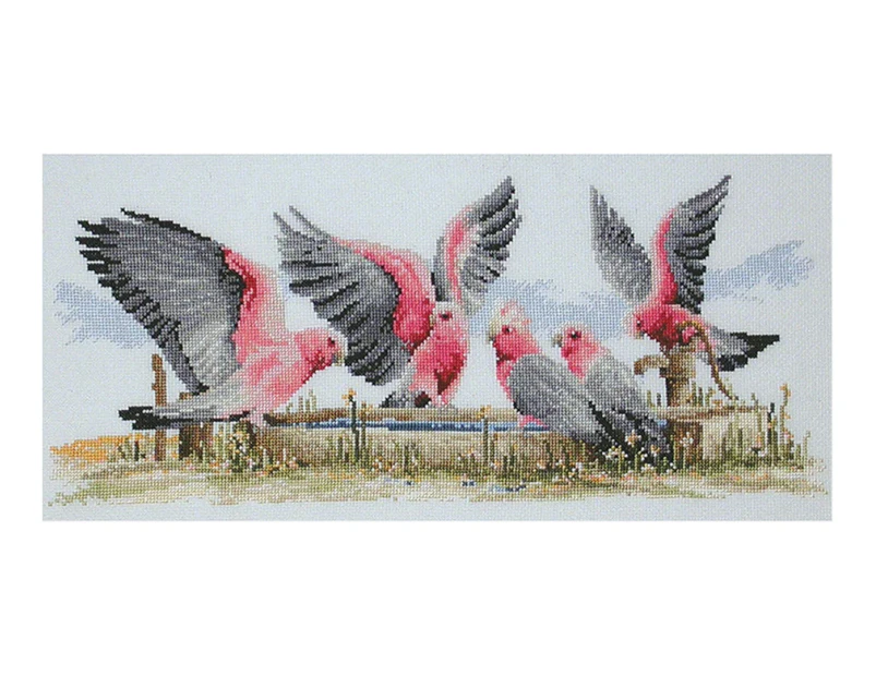 Country Threads 20x44cm Galahs By The Water Pump Cross Stitch Kit