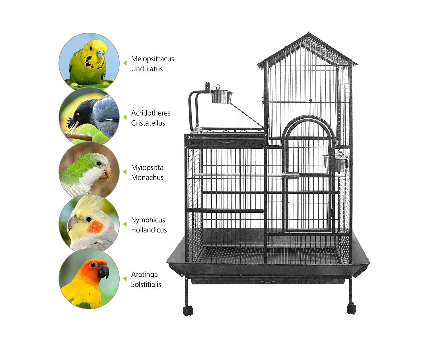 pretty bird cages for sale