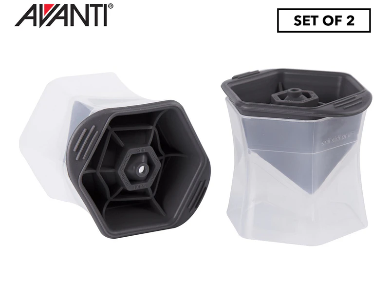 Set of 2 Avanti Cube Ice Moulds