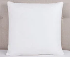 Daniel Brighton Gusseted European Pillow