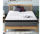 Zinus Comforta Luxe iCoil Mattress Euro Top Pocket Spring Bed