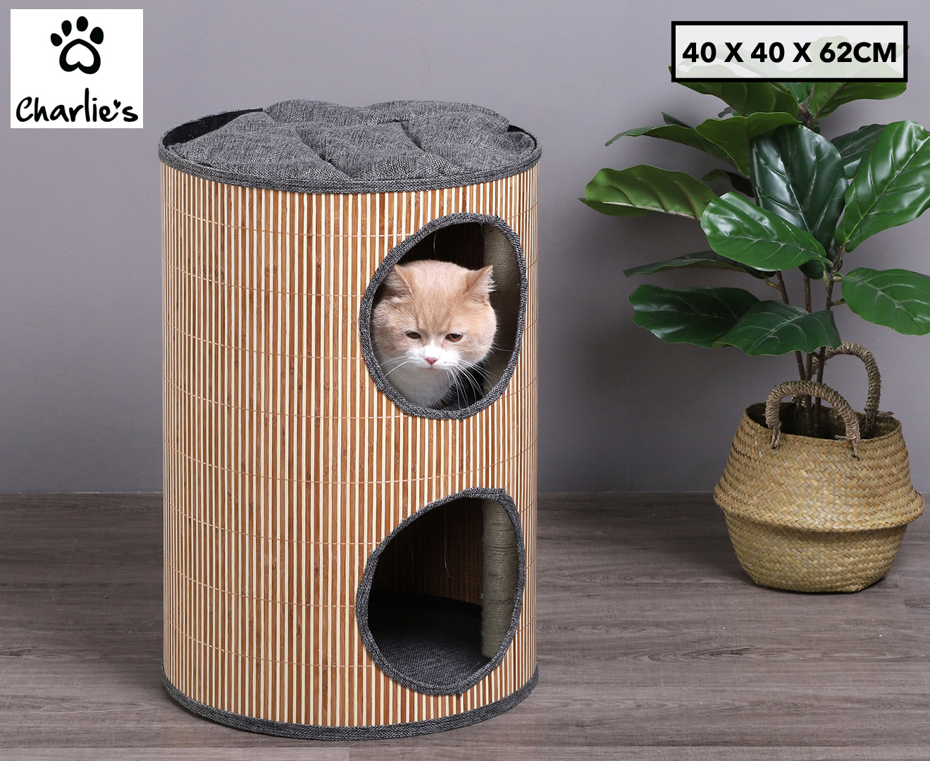 Cat barrel outlet scratcher