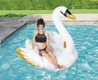 Bestway Luxury Swan Pool Float