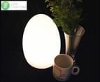 Lexi Lighting LED Egg Lamp - White 1