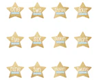 Pearhead Baby's 1st Year Star Milestone Stickers