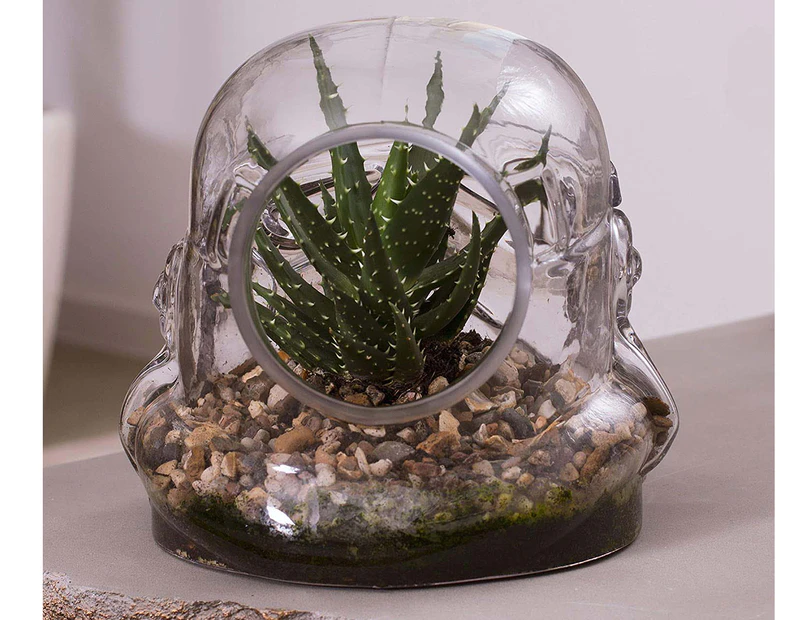 Star Wars Original Stormtrooper Terrarium