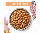 12 x Ivory Coat Kitten Wet Food Chicken In Gravy 85g