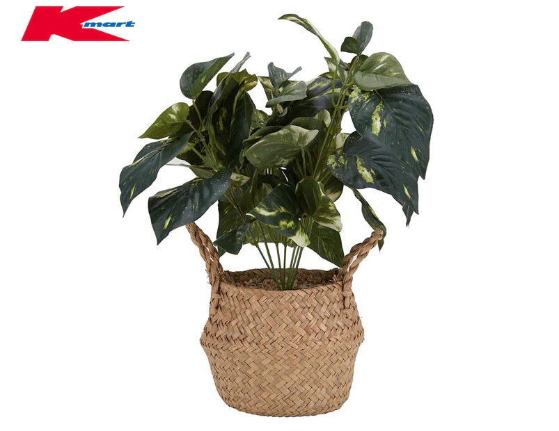 Anko by Kmart 16cm Artificial Plant In Basket