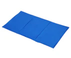Paws & Claws Heating/Cooling Gel Pet Mat - Large