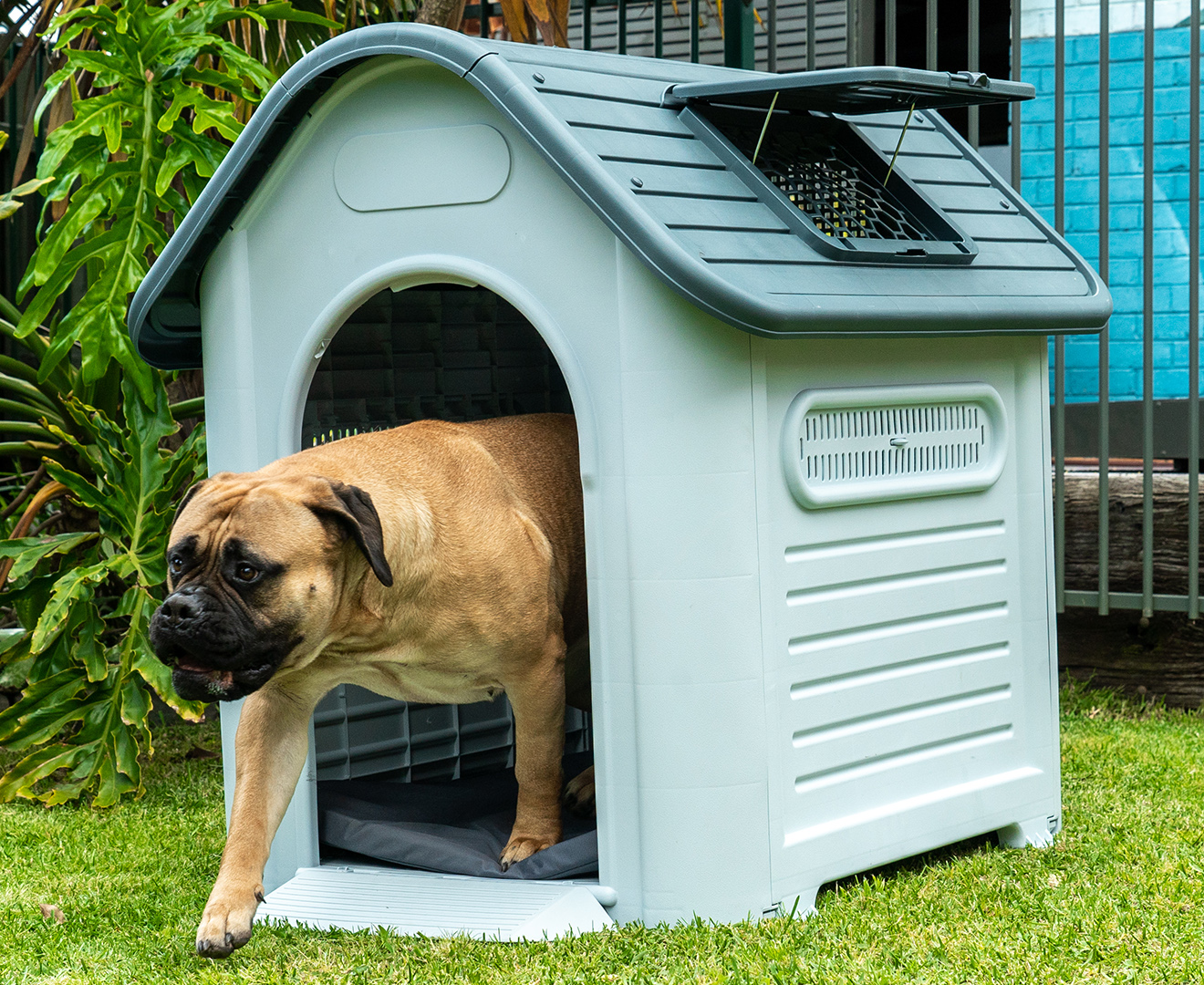 Fido and fletch shop large dog kennel