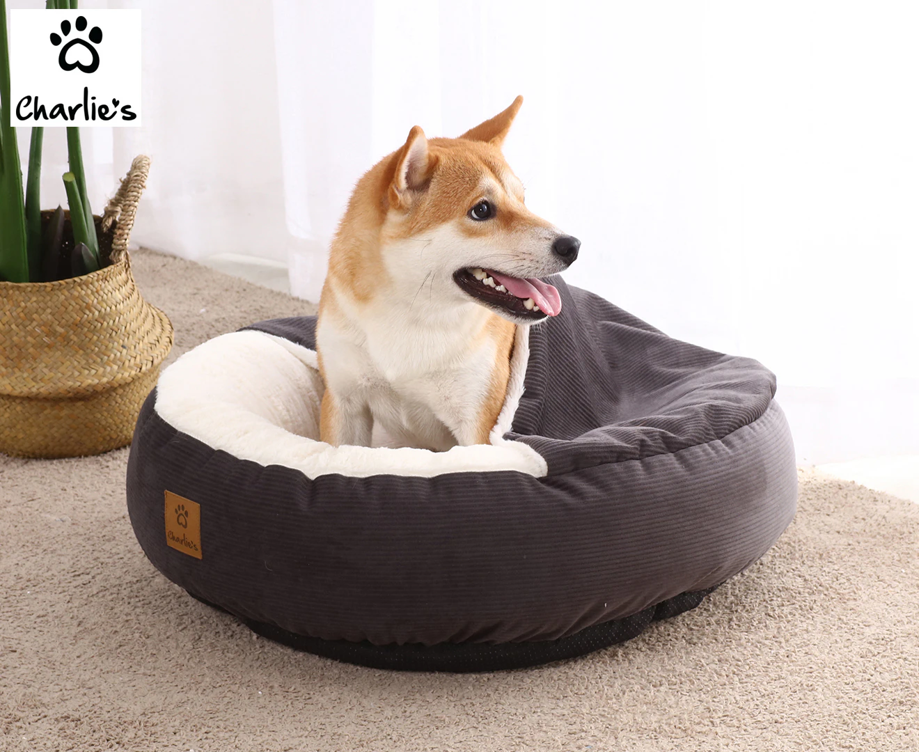 Charlie's Cushioned Snookie Pet Bed - Charcoal