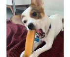 Super Dog Chew Himalayan Dental Cheese Dog Treat MEDIUM for Dogs 7-15 Kg 3pk