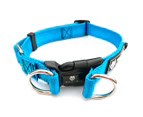 Wolf & I Co. Vagabond 4.0 Reflective Dog Leash, ID Tag & M/L Light Blue Collar Set