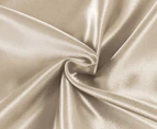 CleverPolly Satin Pillowcase Twin Pack - Champagne