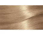 Garnier Nutrisse 9.13 Light Ash Beige Blonde Hair Colour