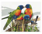 Country Threads 34x44cm Lots of Lorikeets Counted Cross Stitch Kit