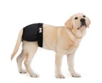 New Female Sanitary Dog Nappy Underpants Diaper Pants Black M L XL