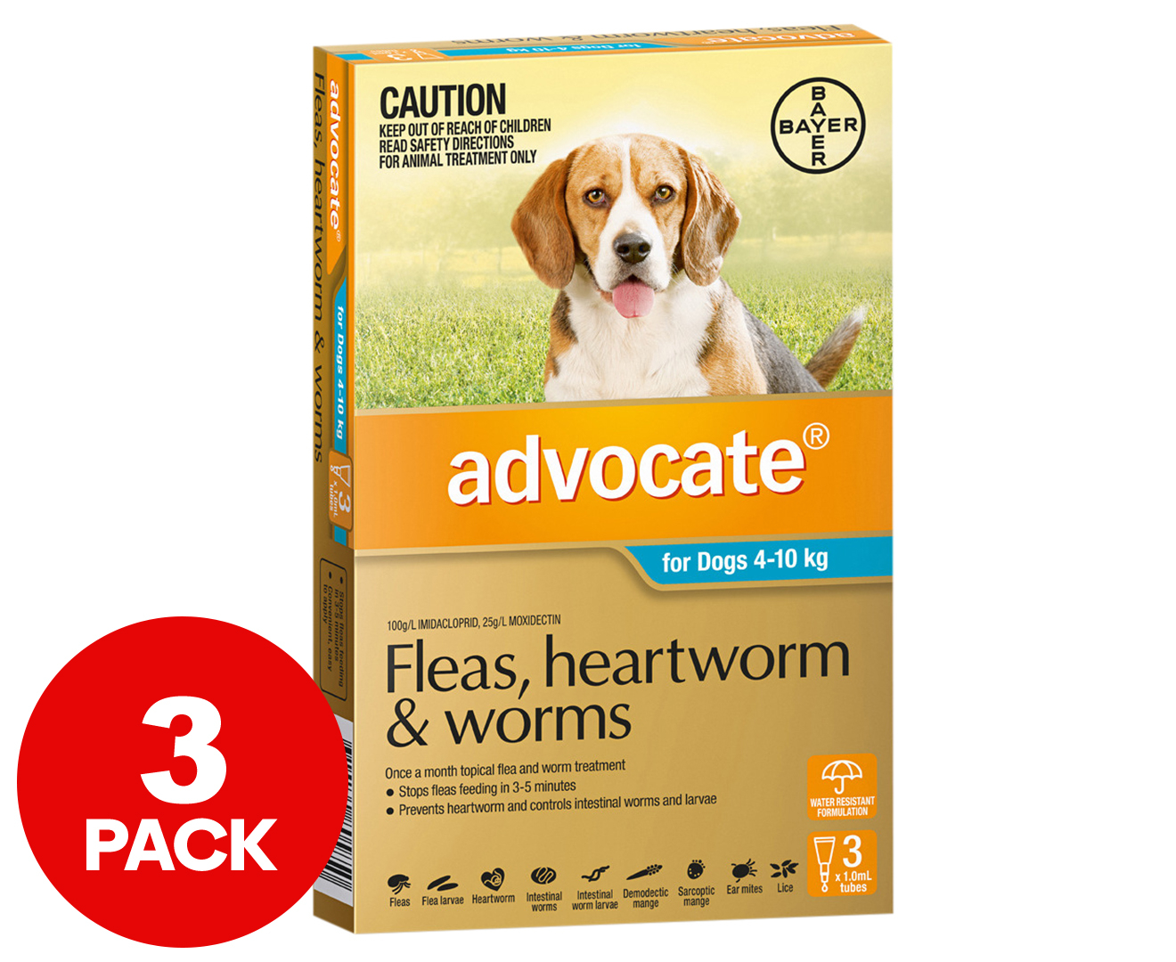 Heartworm and shop intestinal worm treatment