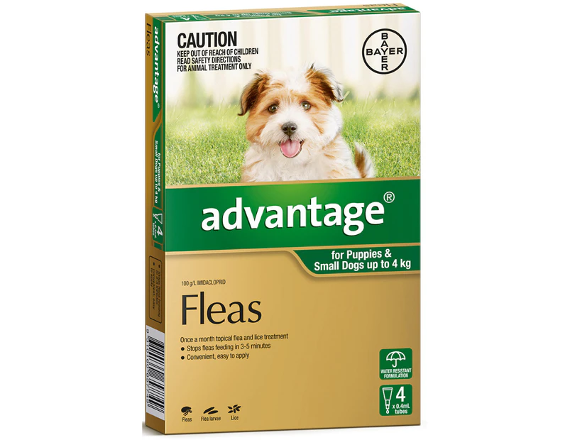 Advantage For Small Dogs (up to 4kg) 4 Pack