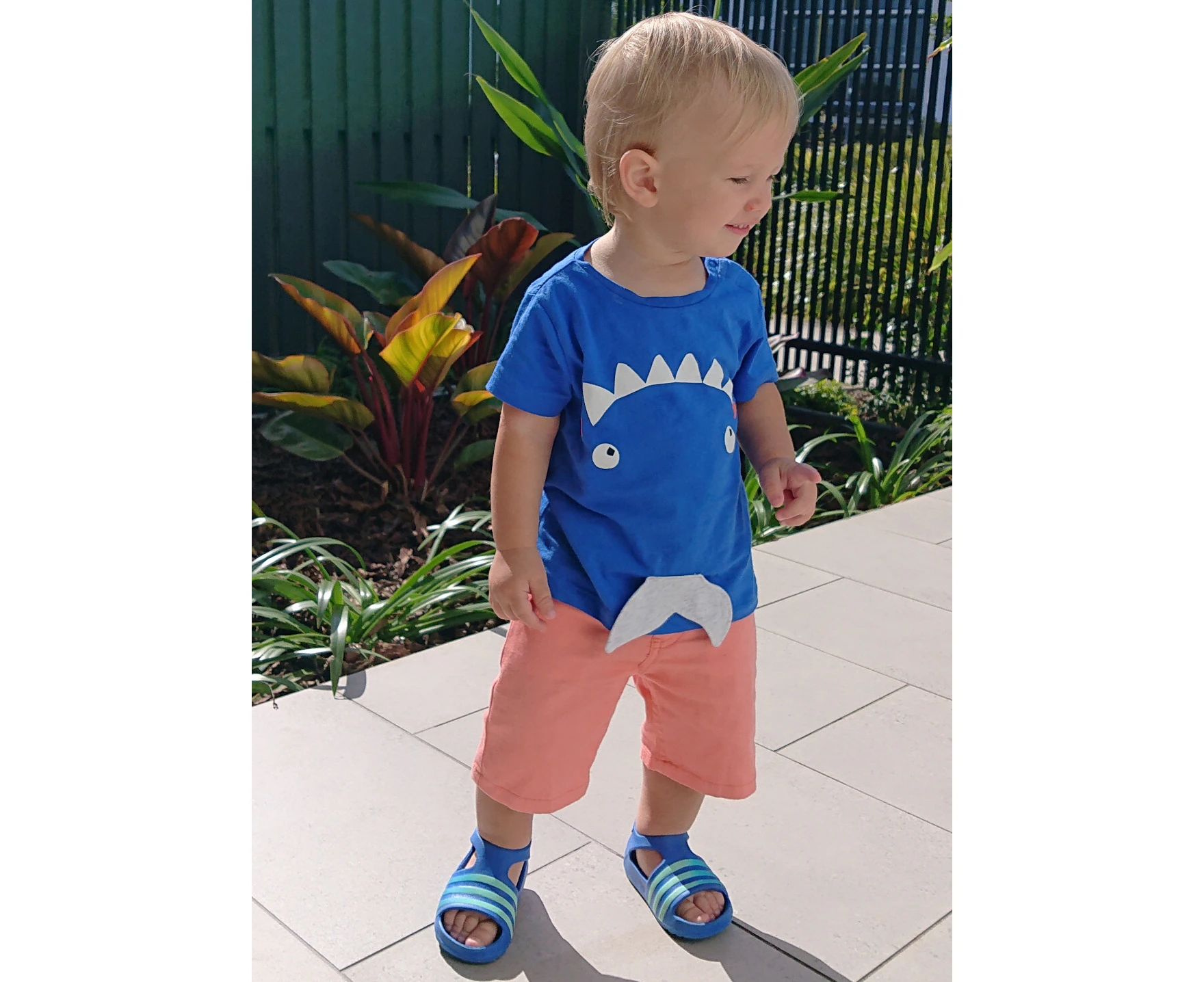 Mamino Baby Boy Zoo  Blue Coral Bermuda and T  Shirt Set