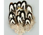 Mix Hen Pheasant Peacock Tail Eye Goose Feathers Wedding Millinery DIY Craft - Pheasant Black