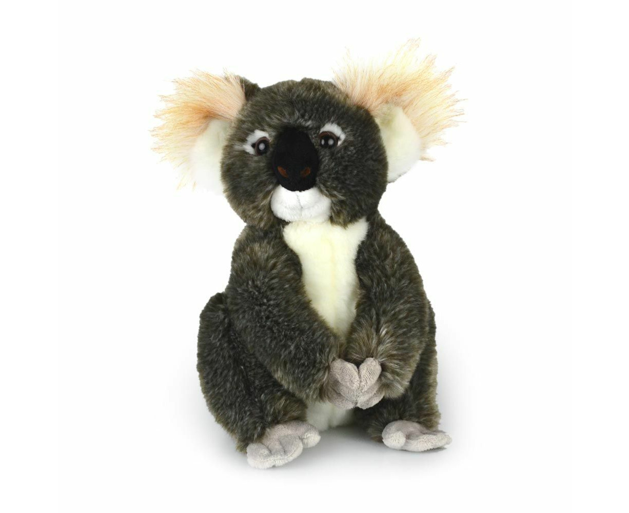 Korimco koala best sale