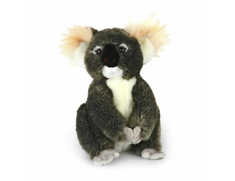 Korimco 30cm Kimba Koala Kids/Children Animal Soft Plush Stuffed Toy Grey 3y+