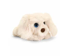 Cuddle Pets 37cm Labradoodle Dog Kids Soft Animal Plush Stuffed Toy 3y+ Cream
