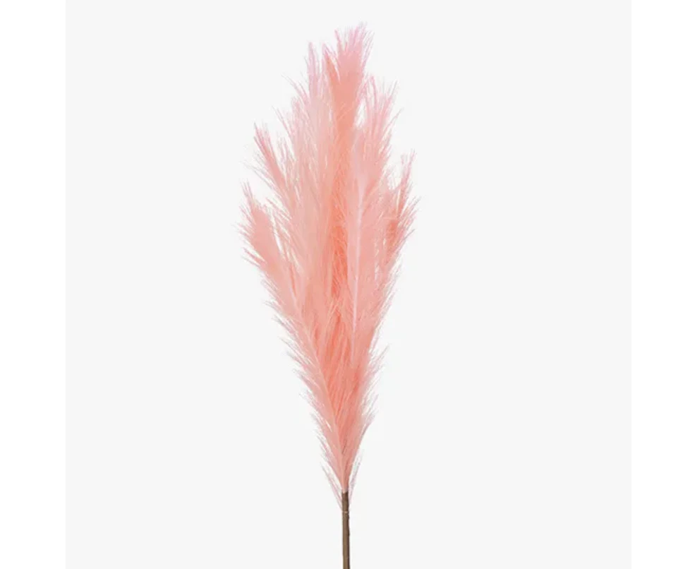 Pampas Grass Spray - Pink