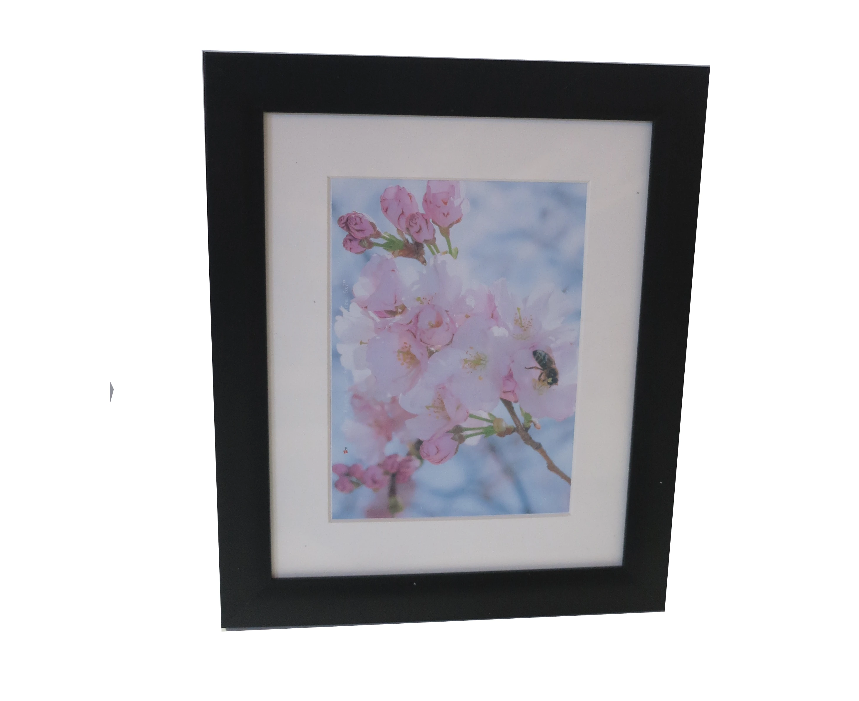 Homeworth Photo Frames Certificate Frames Series Sizes Black Color