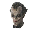The Joker Deluxe Adult Mask Size:One Size Fits Most