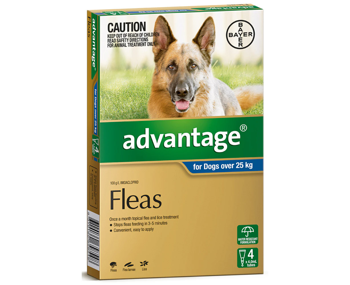 Advantage For Extra Large Dogs (over 25kg) 4 Pack