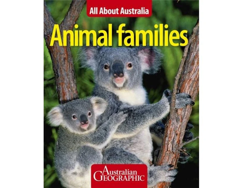All About Australia : Animal Families
