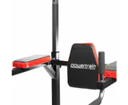 Powertrain Multi Station Home Gym Chin-up Pull-up Tower