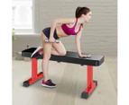 Powertrain Home Gym Flat Bench Press Fitness Equipment