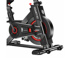 Powertrain IS-500 Heavy-Duty Exercise Spin Bike Electroplated - Black