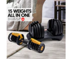 2x Powertrain 24kg Gold Adjustable Dumbbells w/ Stand and 10436  Bench