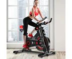 Powertrain IS-500 Heavy-Duty Exercise Spin Bike Electroplated - Black