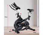 Powertrain RX-900 Exercise Spin Bike Cardio Cycling - Silver