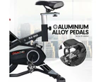 Powertrain RX-900 Exercise Spin Bike Cardio Cycling - Silver